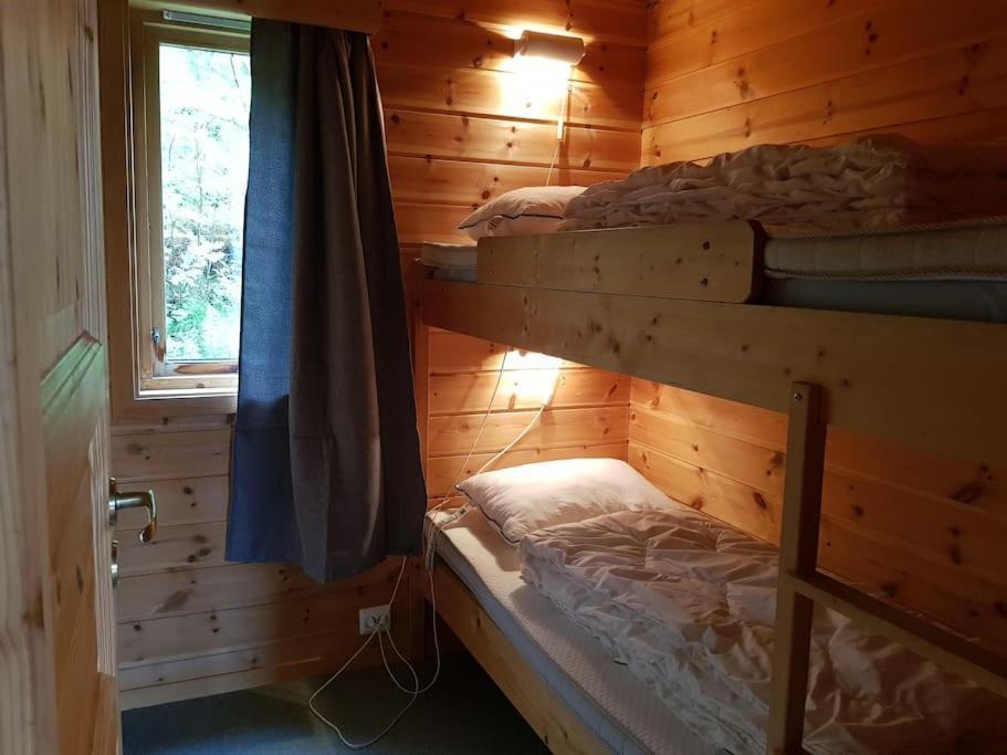Haugen Hytteutleie & Camping Eksteriør billede